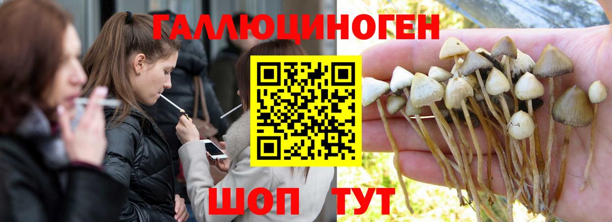 купить закладку  Галлюциногенные грибы Psilocybe  Вход с VPN  Сафоново 